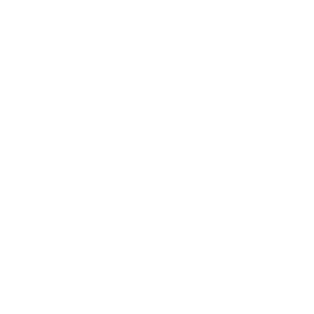 Salta! app icon